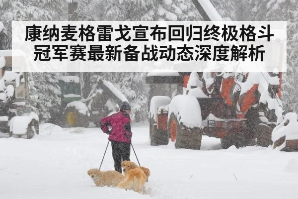 康纳麦格雷戈宣布回归终极格斗冠军赛最新备战动态深度解析