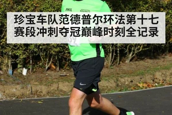 珍宝车队范德普尔环法第十七赛段冲刺夺冠巅峰时刻全记录